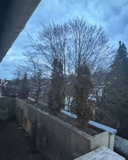 Maxhofstraße